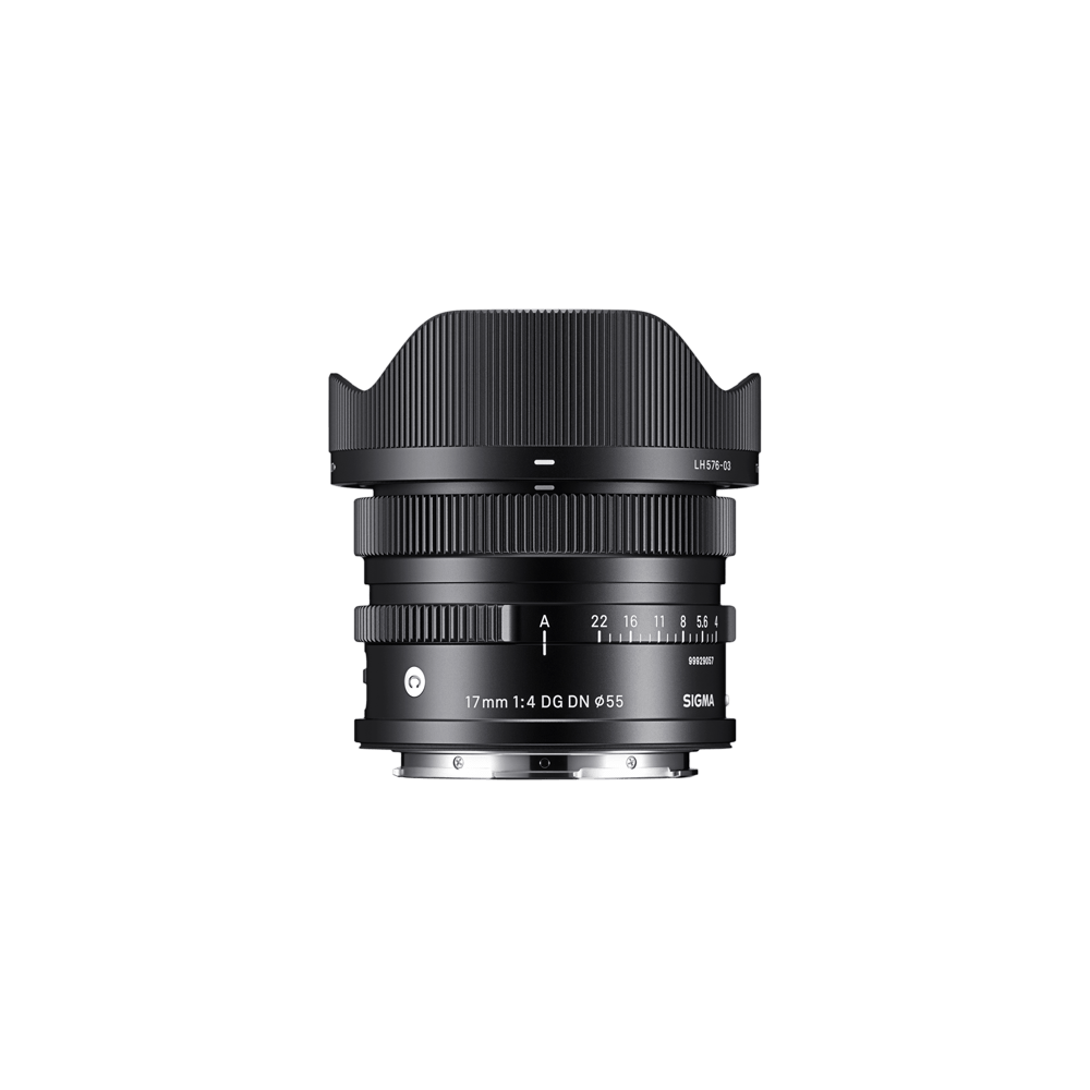 17mm F4 DG DN