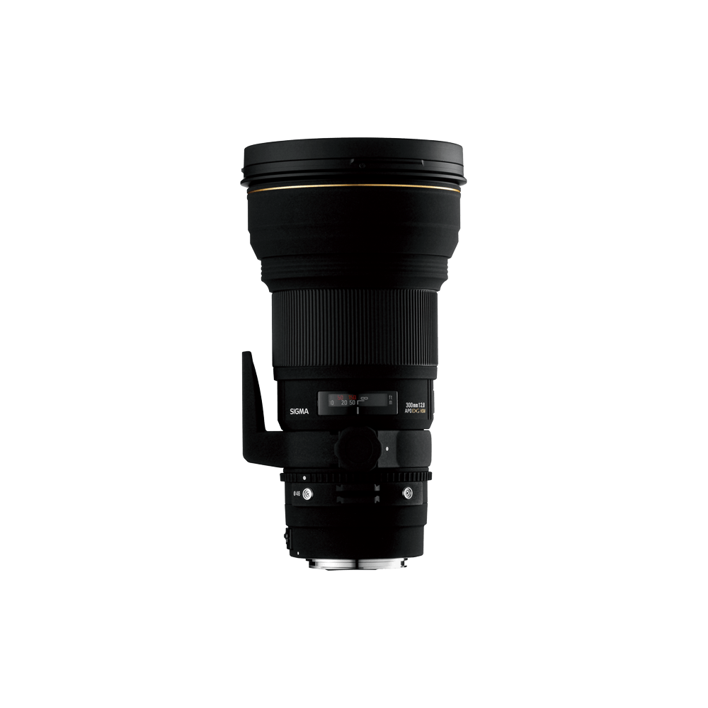 APO 300mm F2.8 EX DG HSM EX DG